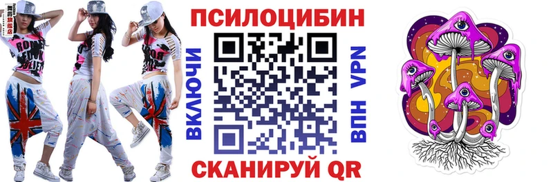 закладки OMG онион Галлюциногенные грибы GOLDEN TEACHER Бакал